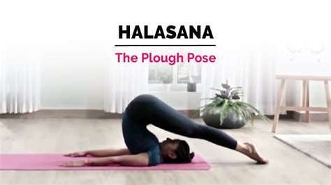 Halasana | Plow Yoga Pose | Steps | Benefits | Yogic Fitness - YouTube