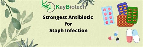 List of Strongest Antibiotic for Staph Infection (Staphylococcus)