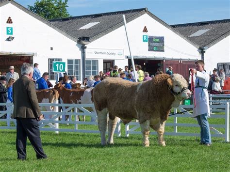 GreatYorkshireShow2016