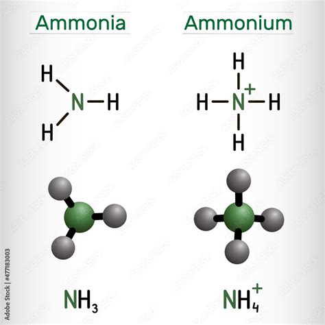 Ammonium cation, NH4 and ammonia, NH3 molecule. Structural chemical ...