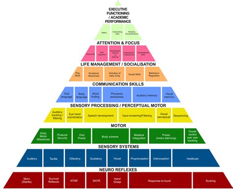 Developmental Pyramid - Sterling Practice