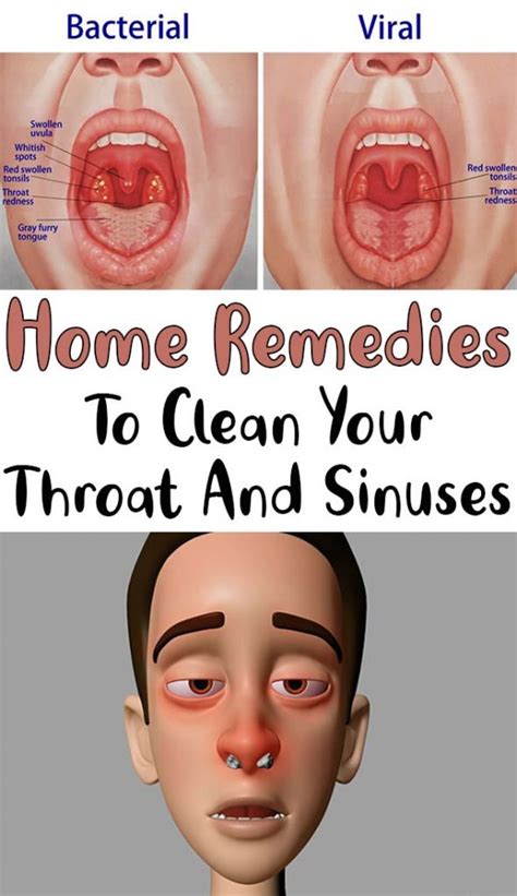 Home Remedies To Clean Your Throat And Sinuses - Simple Tips for You