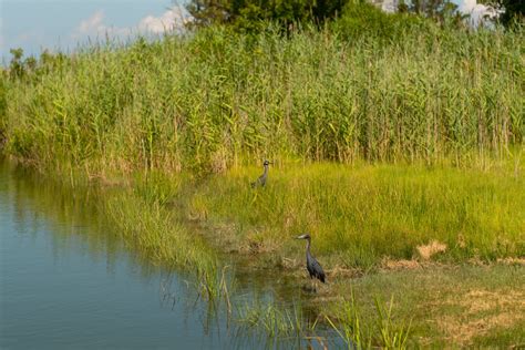 How to Visit Smith Island, Maryland - abbyventure.com