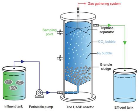 Water | Free Full-Text | The Nitrogen Removal Performance and ...