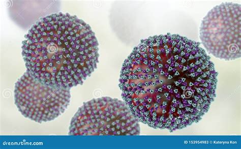 Measles Viruses, Illustration Showing Structure Of Measles Virus With ...