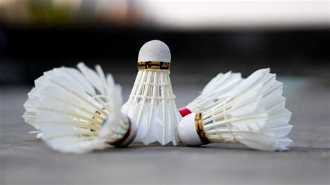 3 Best Badminton Shuttlecock Brands (and Where to Buy)