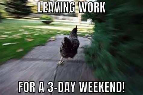 25 Best 3-Day Weekend Memes To Complete Your Long Weekend