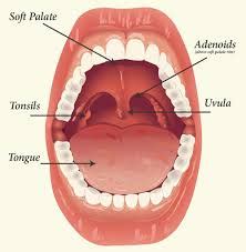 5 best Homeopathic medicines for adenoids or enlarged adenoids