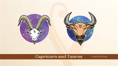 Capricorn and Taurus Compatibility In Love, Friendship & More