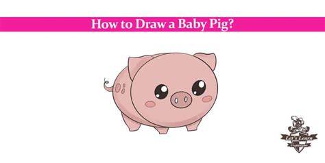 How to Draw a Baby Pig? Step by Step Guide - Craftknights