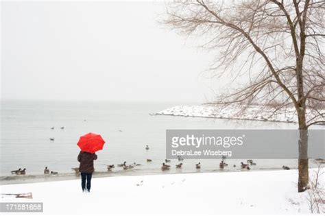 Winter Blizzard High-Res Stock Photo - Getty Images