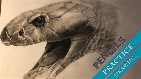 Realistic snake pencil drawing timelapse - YouTube