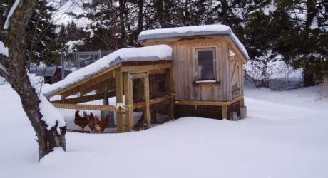 Chicken coop designs for cold weather Details ~ Coop and plan