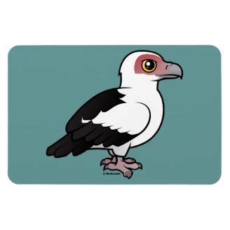 Species Profile: Palm-nut Vulture by Birdorable