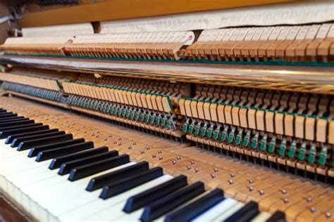 10+ Celesta Keyboard Instrument Photos Stock Photos, Pictures & Royalty-Free Images - iStock