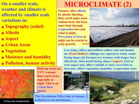 PPT - MICROCLIMATE PowerPoint Presentation, free download - ID:5629071