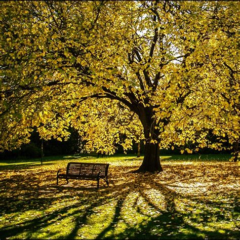 Autumn in Australia | Photo Pathway