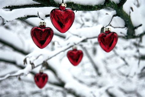 christmas craciun: Christmas hearts