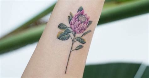 Protea Flower Tattoo | Best Flower Site