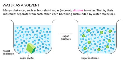 Water As A Universal Solvent Experiment