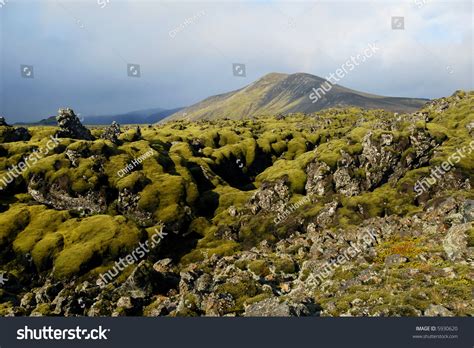 Icelandic Lava Fields - Iceland Stock Photo 5930620 : Shutterstock