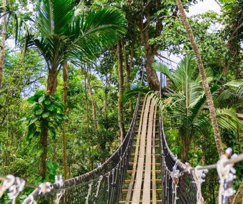 Parc des Mamelles, le Zoo de Guadeloupe (Bouillante) - 2021 All You Need to Know BEFORE You Go ...