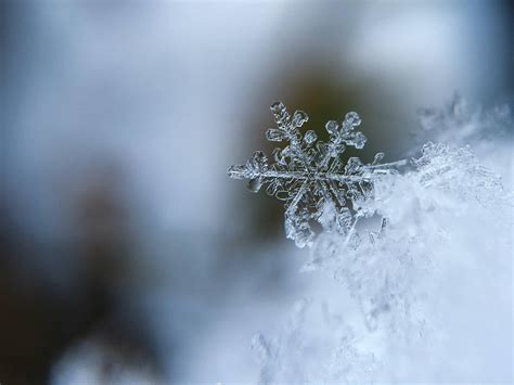 Snow Crystal Wallpapers - Top Free Snow Crystal Backgrounds ...