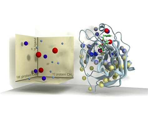 NMR - Biophysical Techniques in Drug Discovery | Pharmaceutical Networking