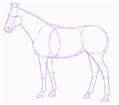 Horse Drawings to Trace | Standing Horse Sketch by SweetLittleVampire ...