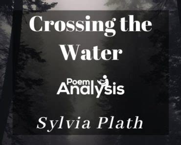 Analysis of Tulips by Sylvia Plath | Poem Analysis