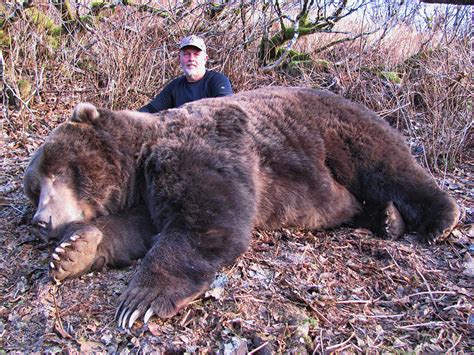 Kodiak Island Brown Bear - Quality Hunts - #1 Hunt Provider