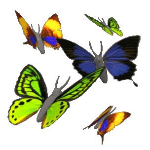 Free Butterfly Gif Transparent, Download Free Butterfly Gif Transparent ...