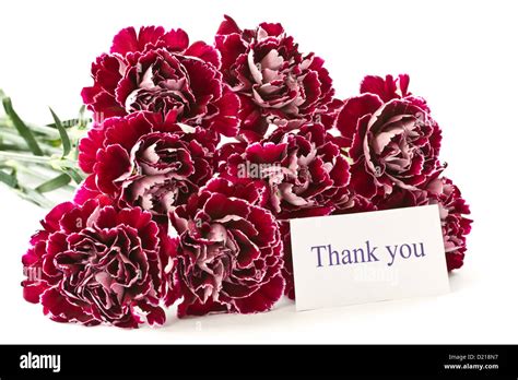 beautiful bouquet of red carnations Stock Photo - Alamy