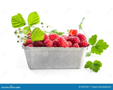 Raspberry container stock image. Image of natural, diet - 55813441