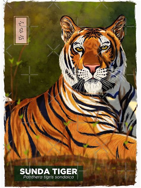 "Sunda Tiger - Black" Sticker by ThorReyes | Redbubble