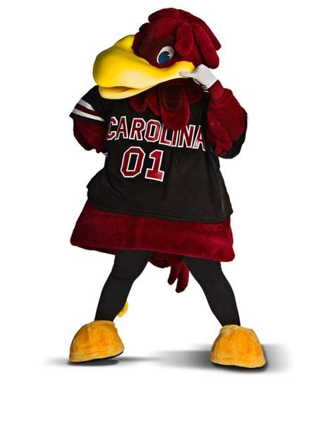 300 GAMECOCKS!!!!!!! ideas | gamecocks, south carolina gamecocks, go ...