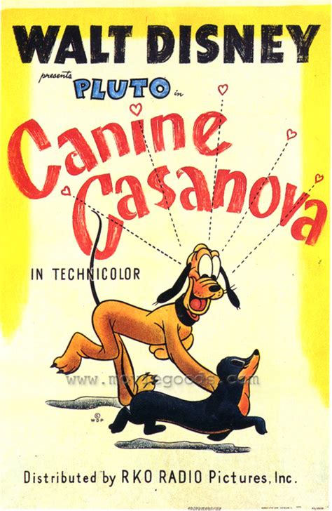 Canine Casanova Movie Posters From Movie Poster Shop