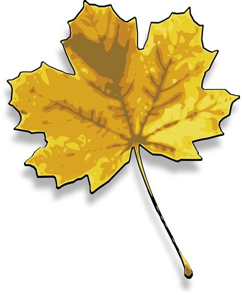 Cartoon - Green Leaf Transparent PNG Clip Art Image png download - 8000*6540 - Free Transparent ...