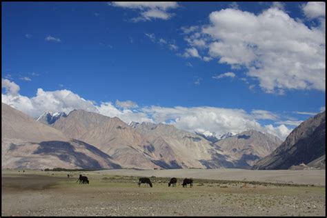 Travel Tips: Nubra Valley