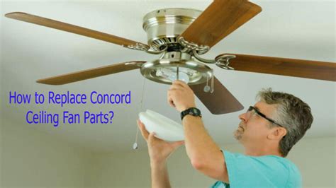 How to Replace Concord Ceiling Fan Parts? - Top Ceiling Fans