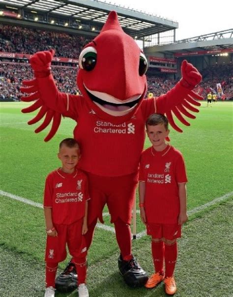 Win the chance to be a Mascot at Anfield! - Liverpool FC