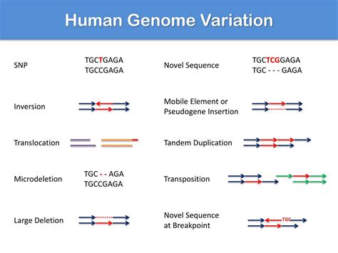 PPT - Cancer Sequencing PowerPoint Presentation, free download - ID:5769423