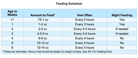 Baby Squirrel Feeding Chart - Chart Examples