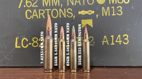 22-250 vs 223 Remington: Which is the best coyote caliber?