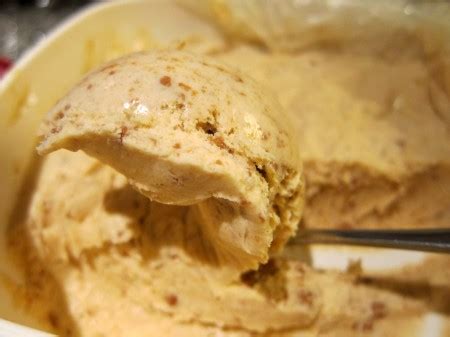 Gingerbread ice cream (a Christmas favourite) – ICE CREAM NATION