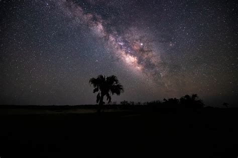 Where to See the Milky Way in Japan? Nine Selections of Starry Night Sky Scenic Spots｜ZEKKEI Japan