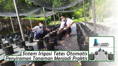 Sistem Irigasi Tetes Otomatis Penyiraman Tanaman Menjadi Praktis - Sumber Plastik - Produsen ...