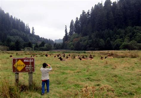 Explore Redwood National Park [A Must-See Guide with Breathtaking Photos!]