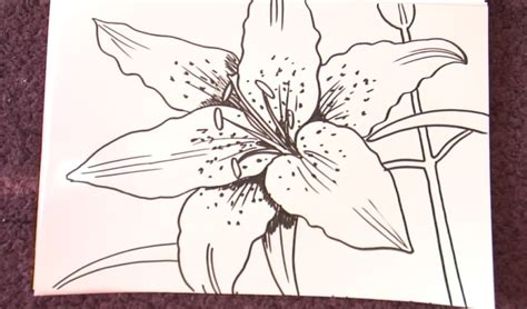 Easy Flower Sketches To Draw - Home Alqu