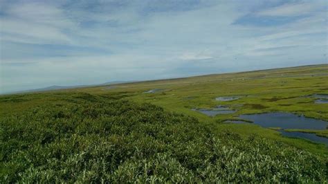 Windswept hill in Chevak | Natural landmarks, Favorite places, Windswept